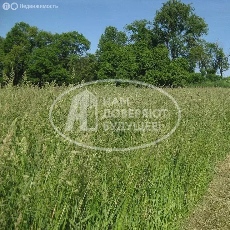 Участок в Лысьва, улица Тютчева, 47 (12 м) - Фото 1