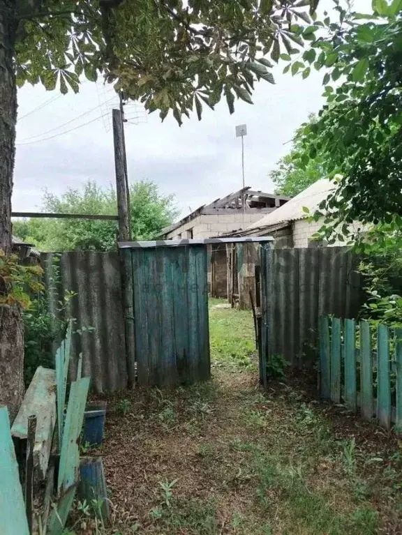 Дом в Белгородская область, Корочанский муниципальный округ, Труд хут. ... - Фото 1
