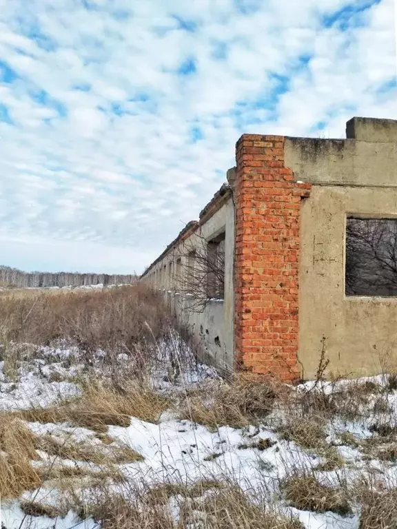 Участок в Омская область, Саргатский район, д. Нижняя Бития Луговая ... - Фото 2