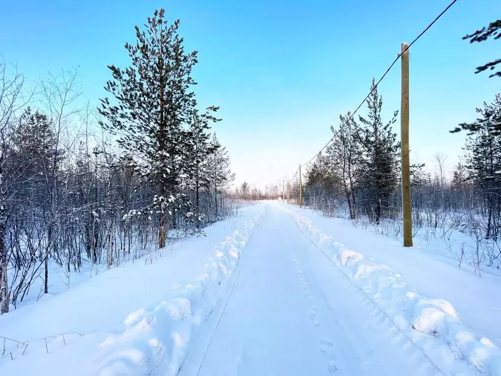 Участок в Ханты-Мансийский АО, Сургутского муниципального района тер., ... - Фото 1