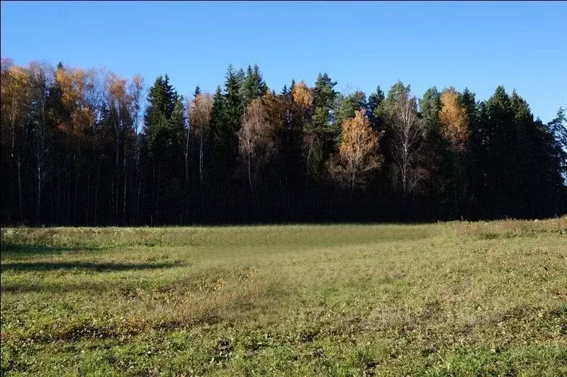 Участок в Московская область, Солнечногорск городской округ, д. ... - Фото 1