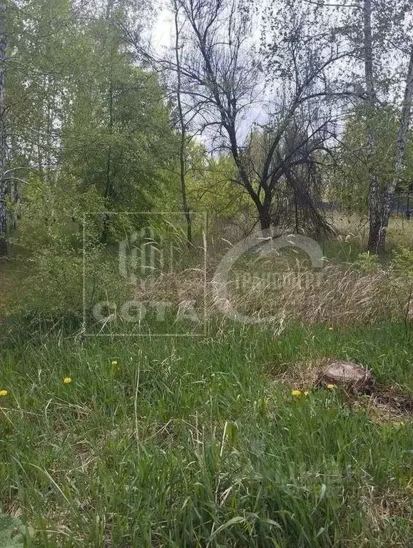 Участок в Воронежская область, с. Новая Усмань ул. Октябрьская, 325 ... - Фото 0