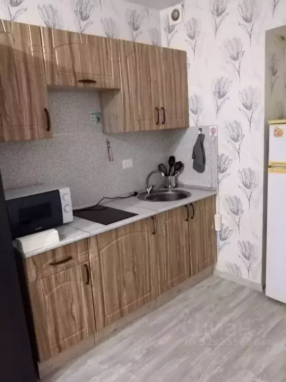 Студия Ленинградская область, Мурино Всеволожский район, бул. ... - Фото 1