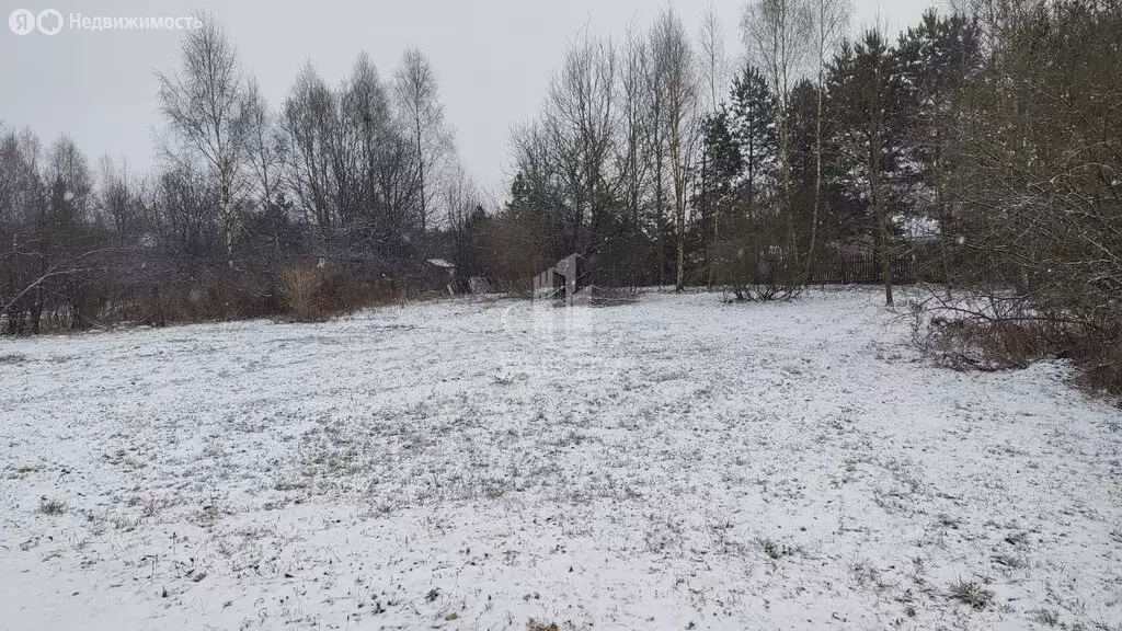 Участок в Калужская область, Ферзиковский муниципальный округ, ... - Фото 1