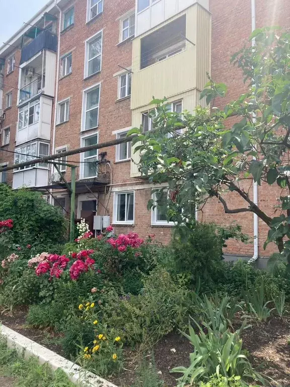 2-к. квартира, 40,5 м, 3/5 эт. - Фото 1