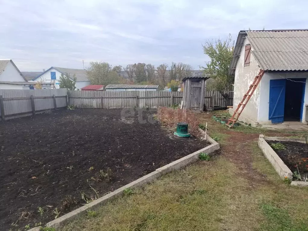 Дом в Белгородская область, Вейделевка рп ул. Гагарина, 33 (86 м) - Фото 1