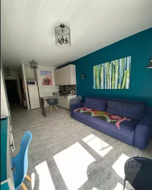 Студия Краснодарский край, Сочи городской округ, Дагомыс пгт ул. ... - Фото 2