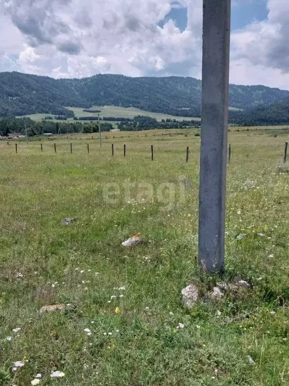 Участок в Алтай, Усть-Коксинский район, с. Власьево  (40.0 сот.) - Фото 1