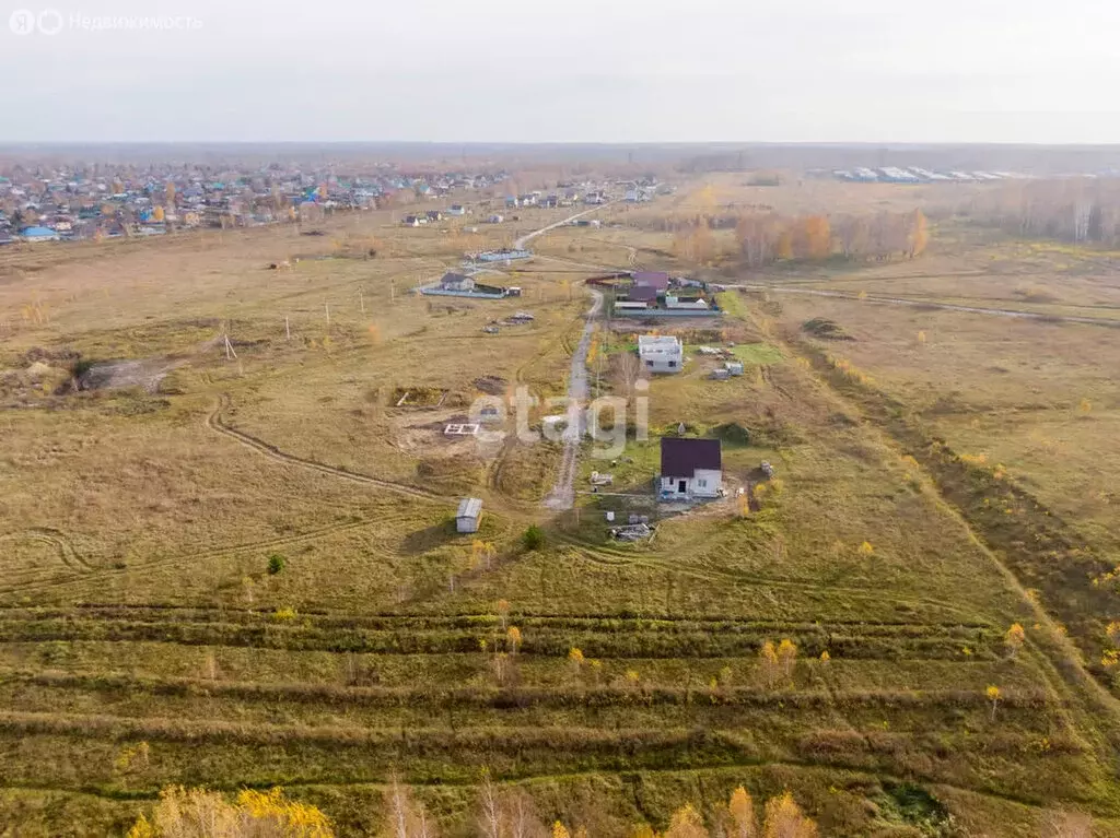 Участок в Колыванский район, Пихтовский сельсовет (6 м) - Фото 1