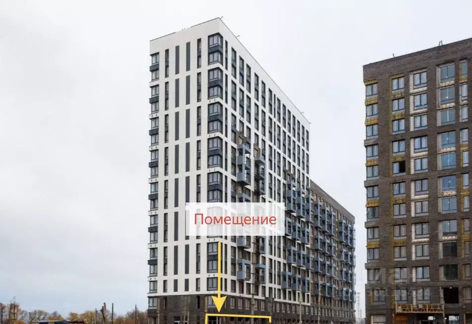 Торговая площадь в Московская область, Домодедово городской округ, с. ... - Фото 2