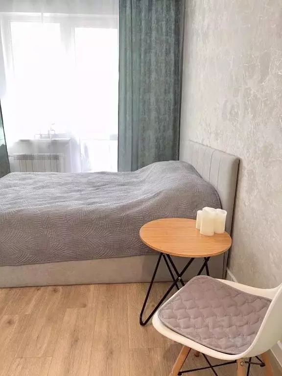 1-к кв. Пензенская область, Пенза ул. Шмидта, 24 (24.0 м) - Фото 2