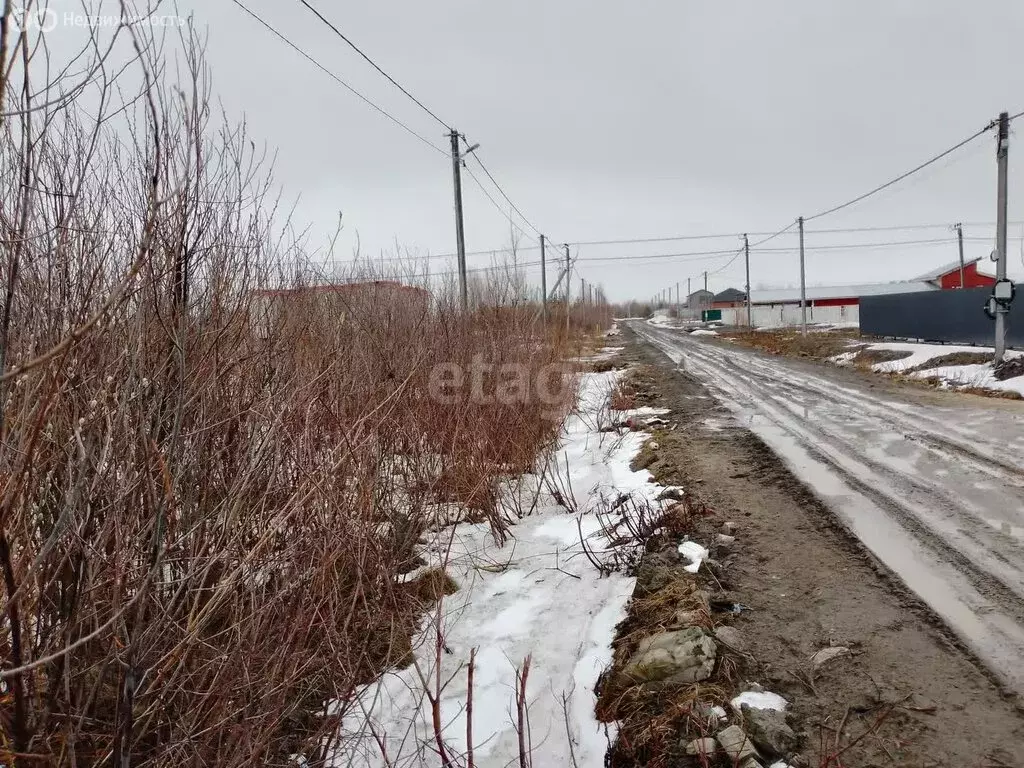 Участок в посёлок городского типа Богандинский, улица Филипповичи (12 ... - Фото 1