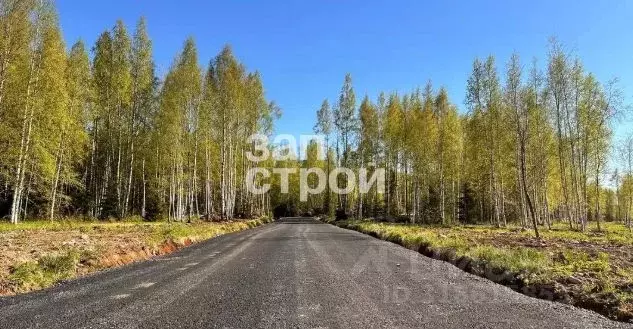 Участок в Ленинградская область, Всеволожский район, Куйвозовское ... - Фото 1