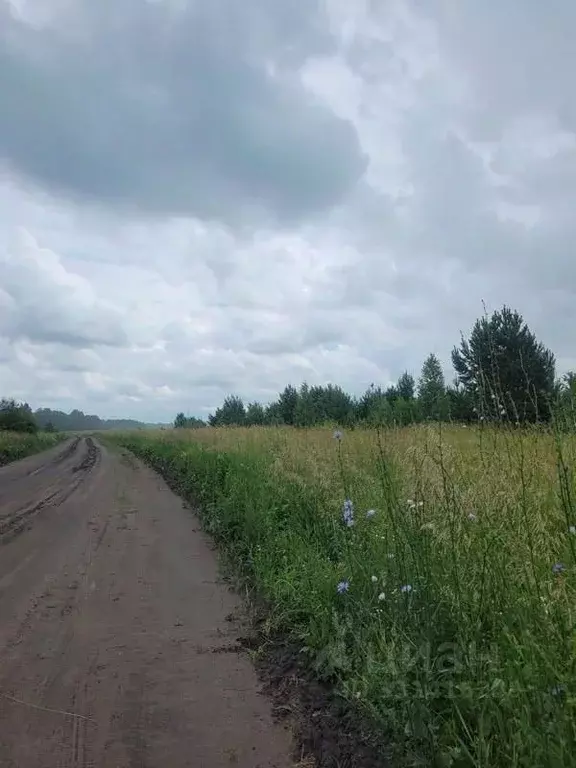 Участок в Курганская область, Кетовский муниципальный округ, с. ... - Фото 2
