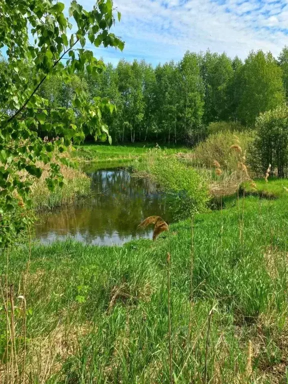 Участок в Нижегородская область, Дальнеконстантиновский муниципальный ... - Фото 1