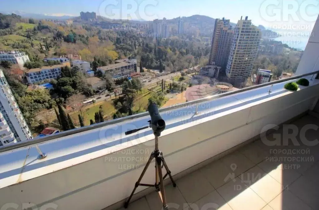 1-к кв. Краснодарский край, Сочи Светлана мкр, ул. Гагринская, 10 ... - Фото 2