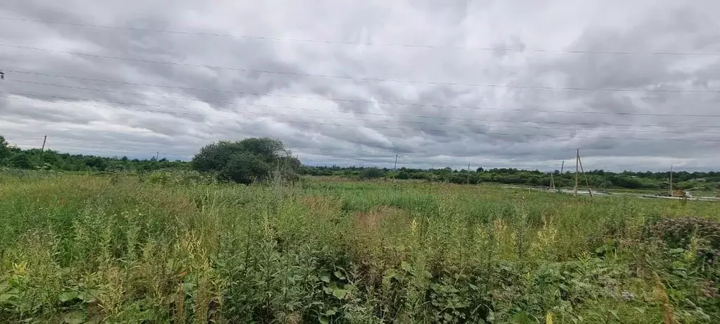 Участок в Сахалинская область, Анивский городской округ, с. Мицулевка  ... - Фото 1