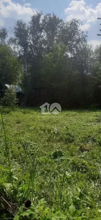 Участок в Новосибирская область, Тогучинский район, Сибиряк садовое ... - Фото 1