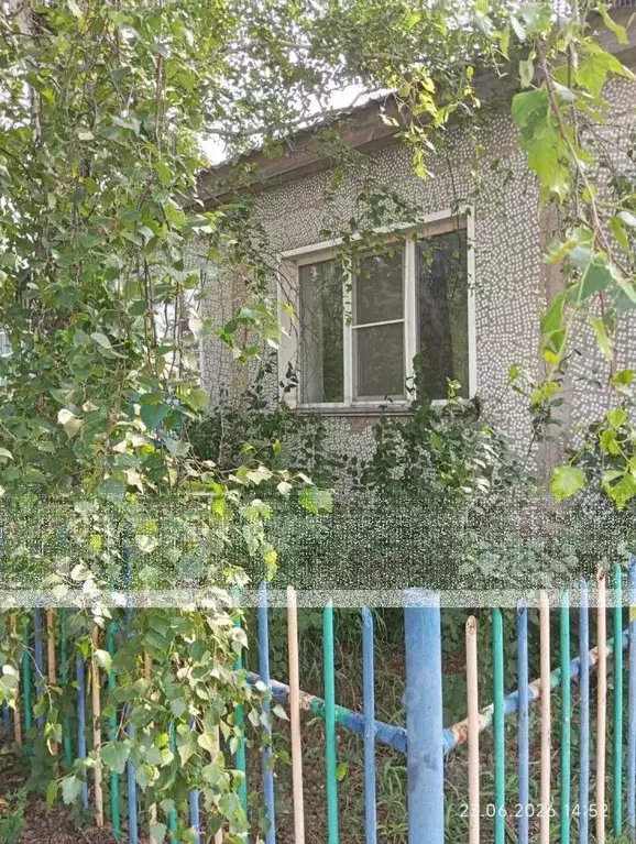 Дом в Омская область, Любинский район, с. Новоархангелка ул. Гагарина, ... - Фото 1