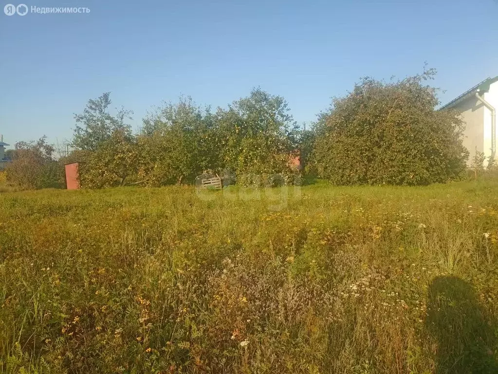 Участок в Грязинский район, Фащёвский сельсовет, село Фащёвка, ... - Фото 1