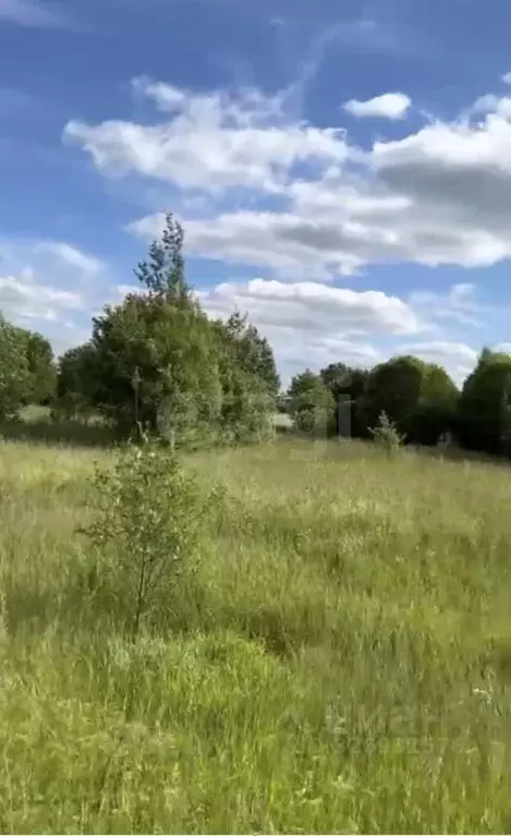 Участок в Ярославская область, Тутаевский муниципальный округ, пос. ... - Фото 2