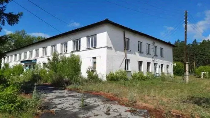 Участок в Курганская область, Мишкинский муниципальный округ, с. ... - Фото 0