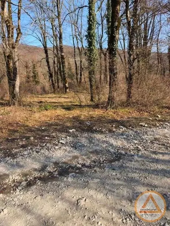 Участок в Краснодарский край, Туапсинский муниципальный округ, с. ... - Фото 2