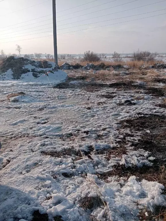 Участок в Челябинская область, Челябинск Тракторосад № 3 СНТ, дор. ... - Фото 1