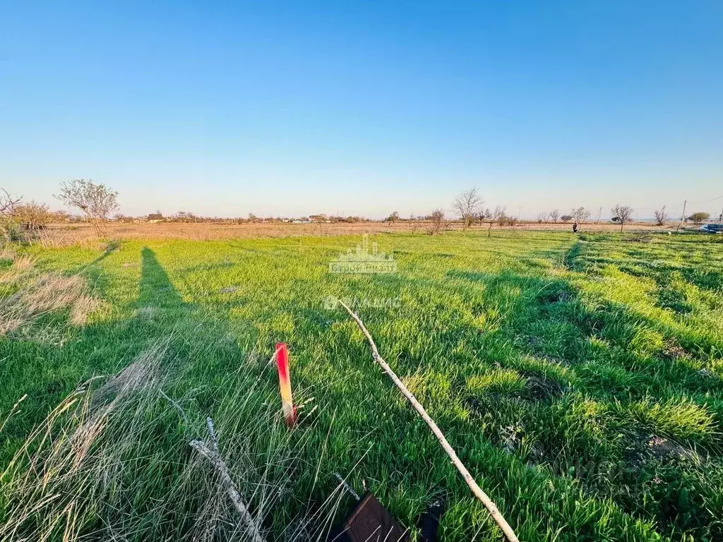 Участок в Крым, Керчь Дельфин садовое товарищество, ул. Чехова, 9 ... - Фото 2