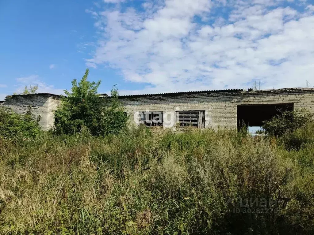 Помещение свободного назначения в Владимирская область, Петушинский ... - Фото 0