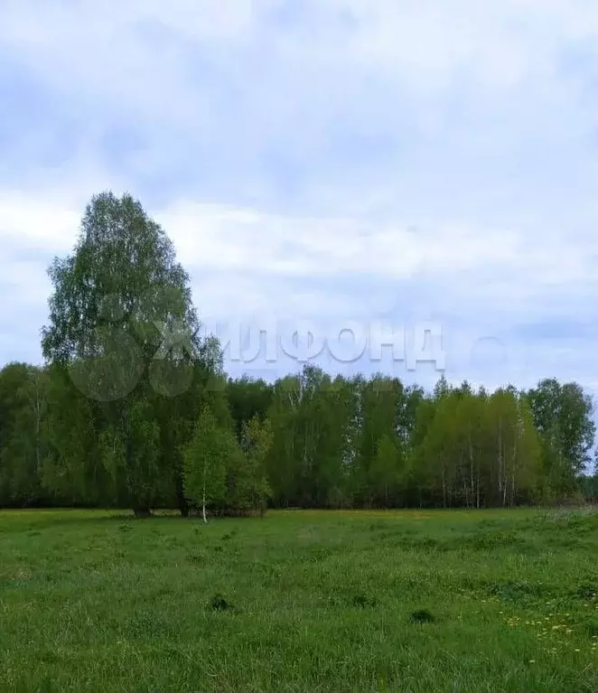 Участок 42 сот. (ИЖС) - Фото 1
