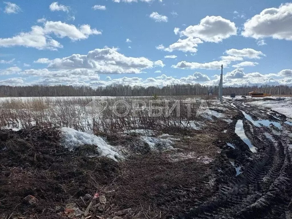 Участок в Тюменская область, Тюменский муниципальный округ, ... - Фото 2