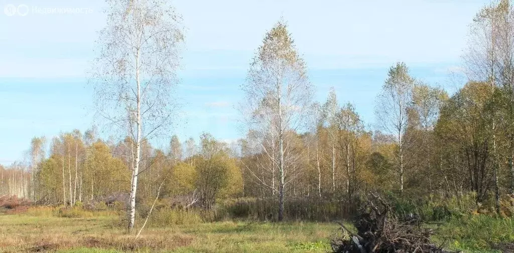 Участок в Тульская область, городской округ Тула, СТ Заря (6 м) - Фото 2