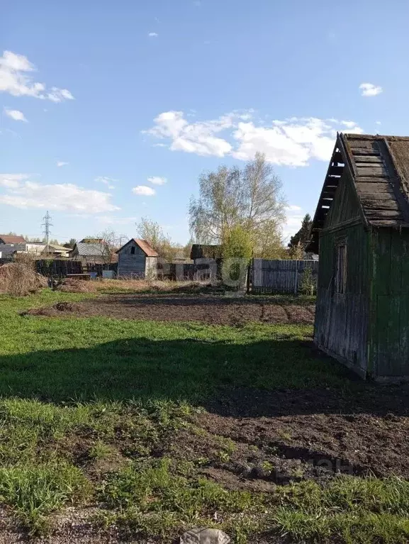 Участок в Новосибирская область, Новосибирск Восход Пашинский ТСН, 125 ... - Фото 0