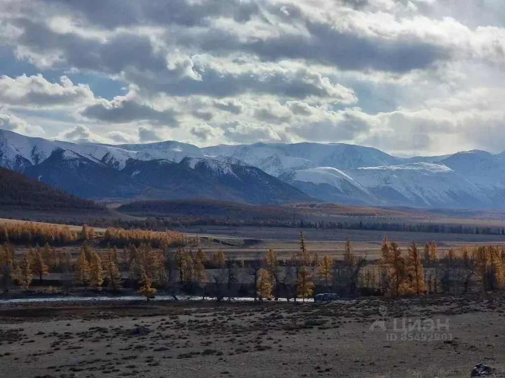 Участок в Алтай, Кош-Агачский район, с. Кызыл-Таш Новая ул. (36.67 ... - Фото 1