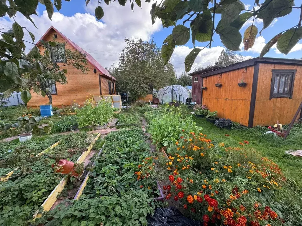 Дом в Тверская область, Бологое № 1 садовое товарищество, 214 (52 м) - Фото 1