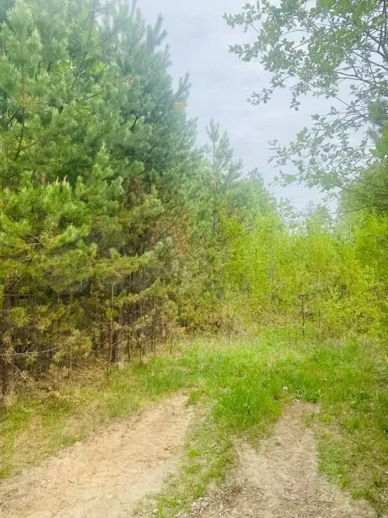 Участок 9,95 га (СНТ, ДНП) - Фото 1