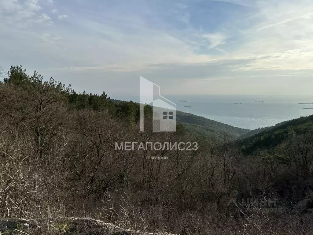 Участок в Краснодарский край, Геленджик муниципальное образование, с. ... - Фото 1