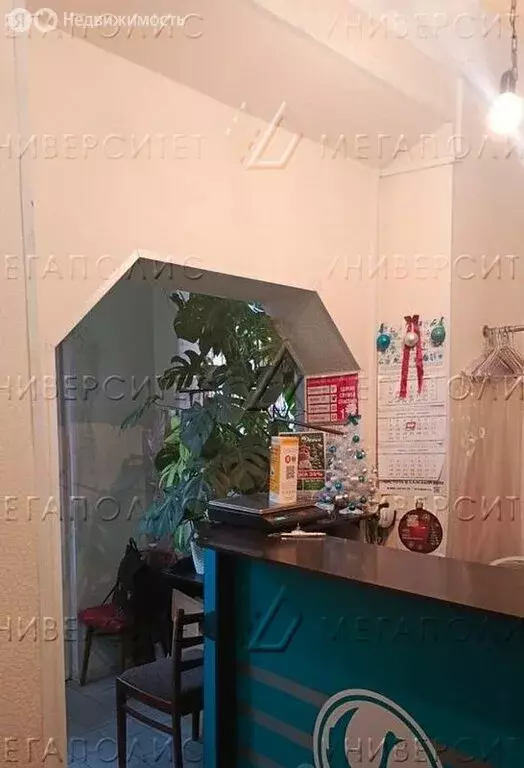 Помещение свободного назначения (21 м) - Фото 2