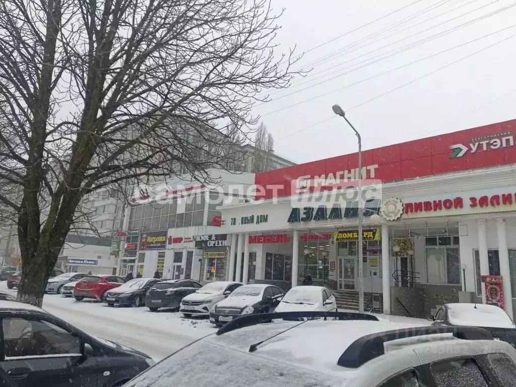 Торговая площадь в Белгородская область, Белгород ул. Губкина, 25А ... - Фото 1