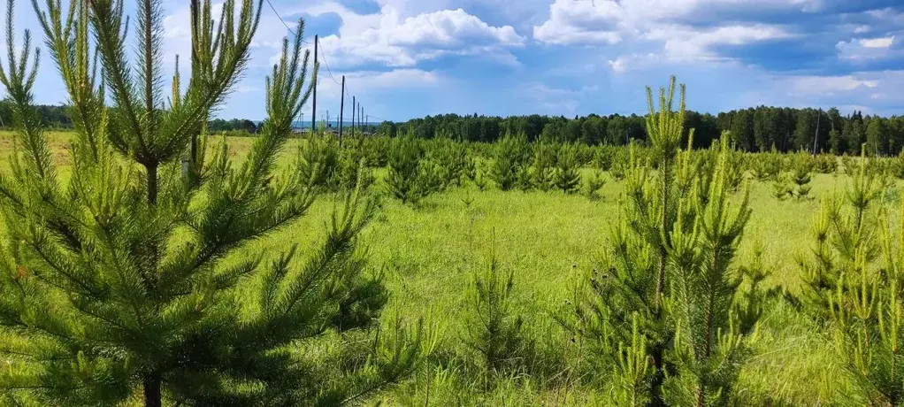 Участок в Красноярский край, Емельяново городское поселение, д. Сухая, ... - Фото 1