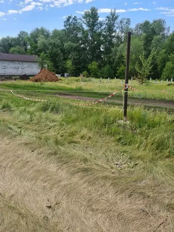 Участок в Самарская область, Красный Яр с/пос, с. Нижняя Солонцовка ... - Фото 1