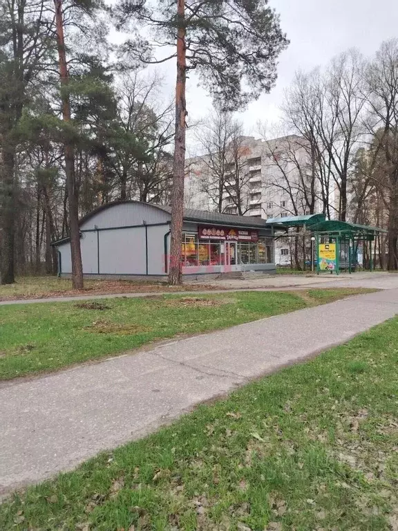 Торговая площадь в Пензенская область, Заречный Зеленая ул. (146 м) - Фото 1