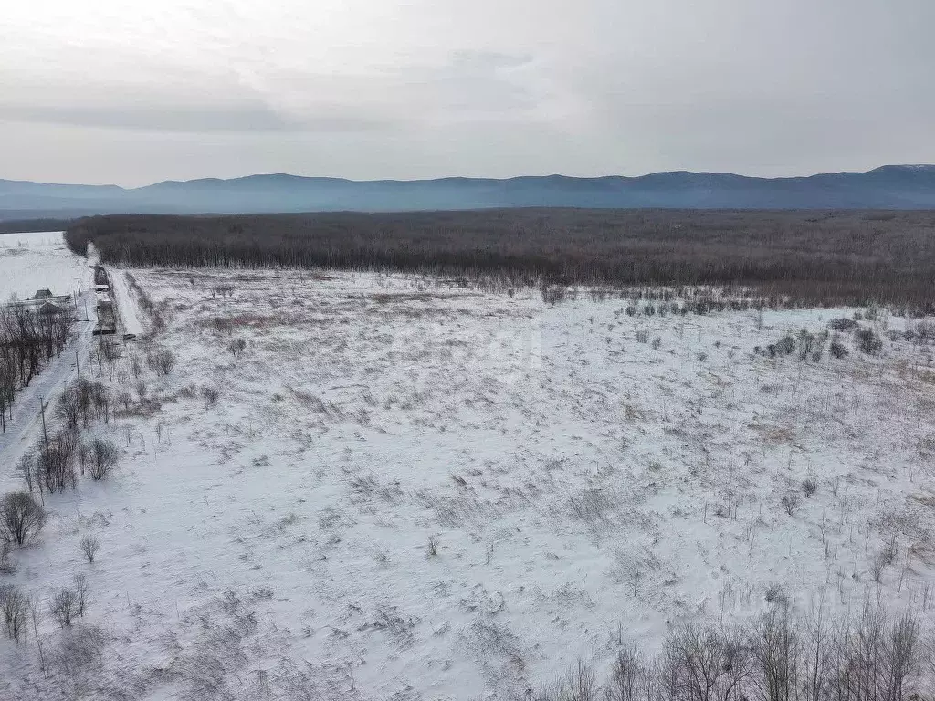 Участок в Хабаровский край, Хабаровский район, Осиновореченское с/пос, ... - Фото 2