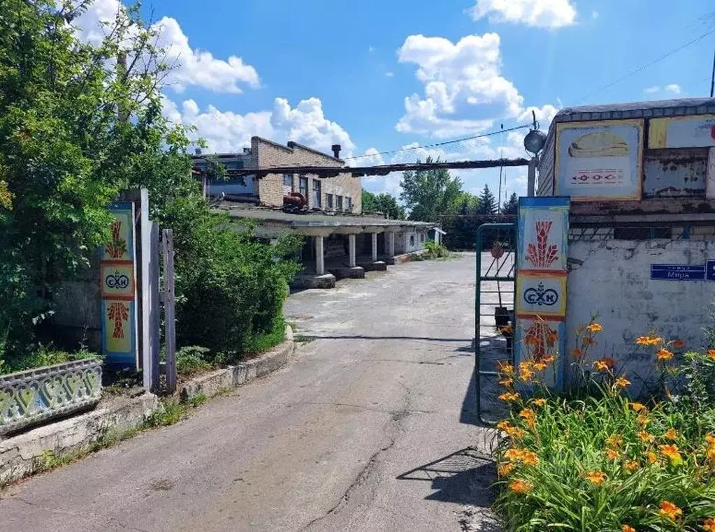 Производственное помещение в Белгородская область, Старый Оскол ул. ... - Фото 1