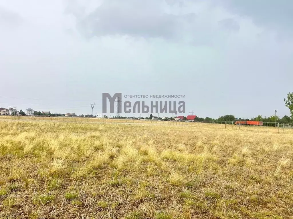 Участок в Волгоградская область, Городищенский район, Царицынское ... - Фото 1