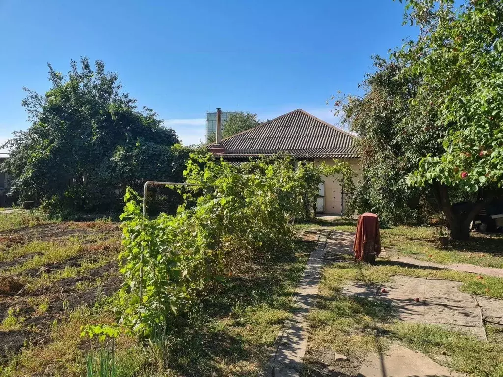 Дом в Белгородская область, Губкинский городской округ, с. Долгое  (53 ... - Фото 1