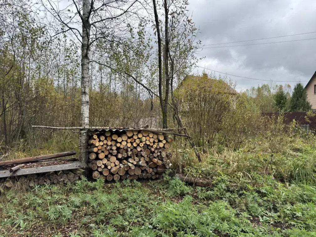 Участок в Тверская область, Конаковский муниципальный округ, Березка ... - Фото 2