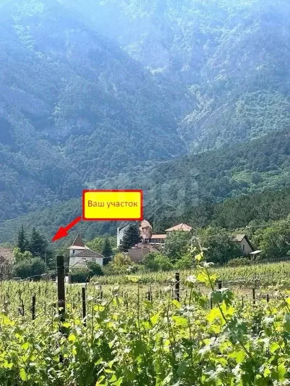 Участок в Крым, Ялта ул. Большевистская, 1 (8.0 сот.) - Фото 1