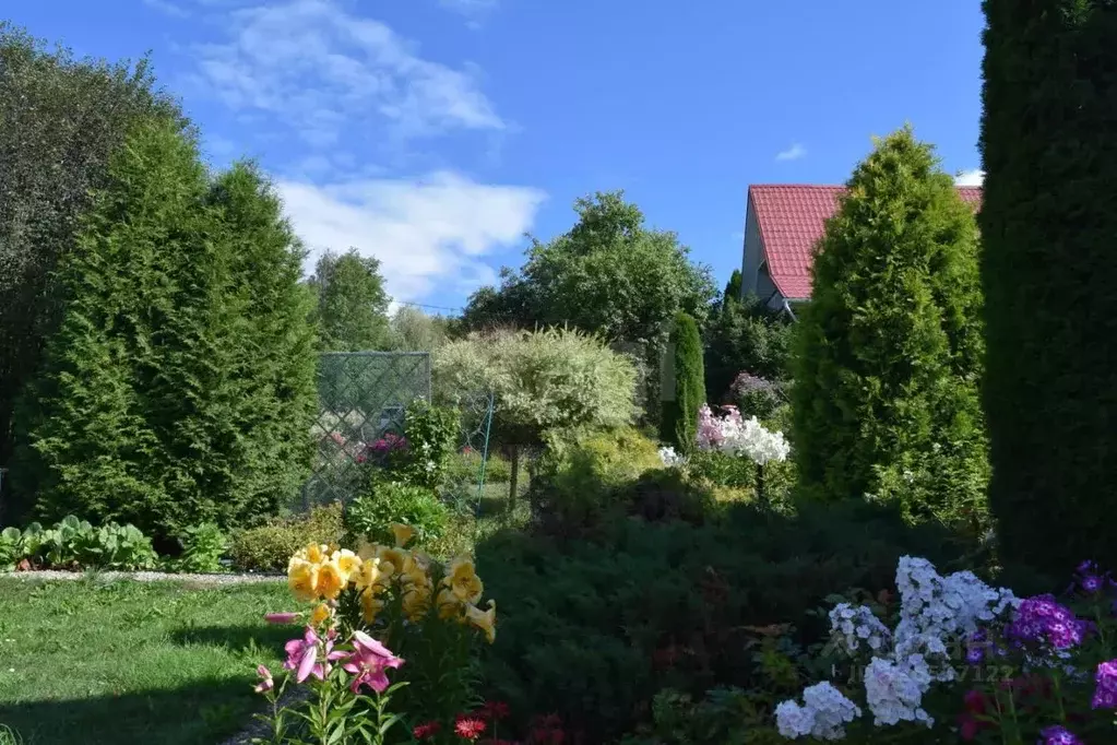 Дом в Калужская область, Тарусский муниципальный округ, Похвиснево ... - Фото 1